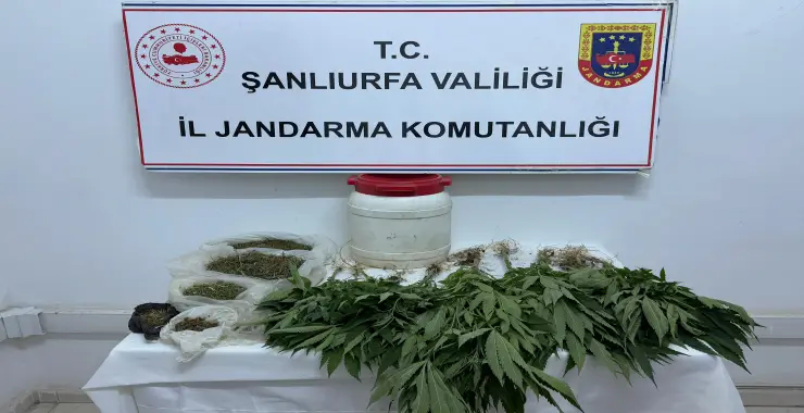 Jandamadan Uyuşturucu Operasyonu: 1 Gözaltı