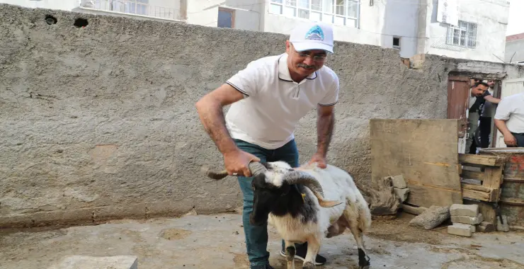 Başkan Kuş, Kurban Dağıttı