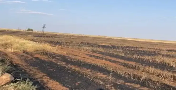 Viranşehir’de 170 Dönüm Buğday Tarlası Kül Oldu