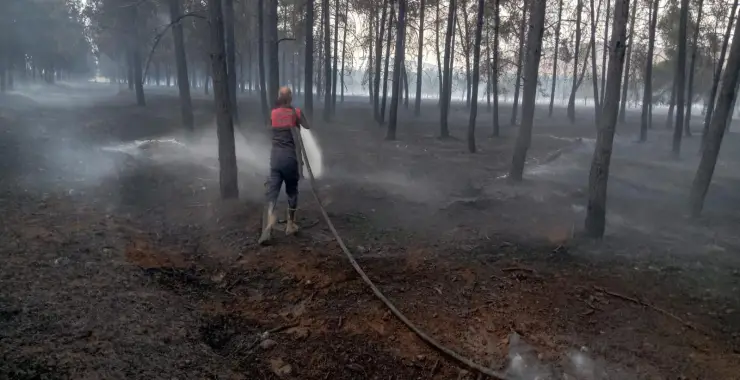 ŞANLIURFA’DA ORMANLIK ALANDA YANGIN: HAVADAN VE KARADAN MÜDAHALE