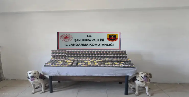 KAÇAK SİGARA ELE GEÇİRİLDİ