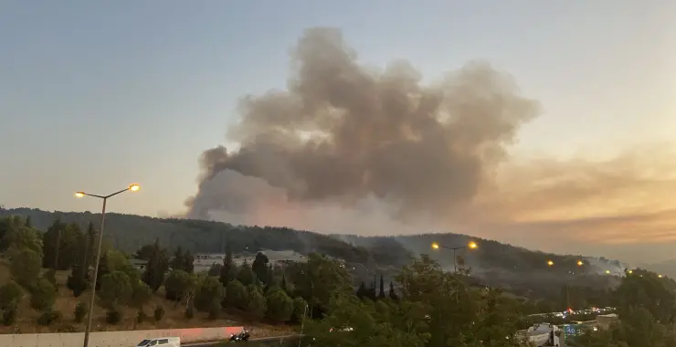 Mersin ve Kahramanmaraş’ta orman yangını