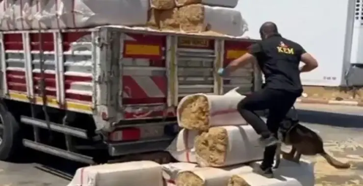 Uyuşturucu operasyonu: Bin 695 kişi yakalandı