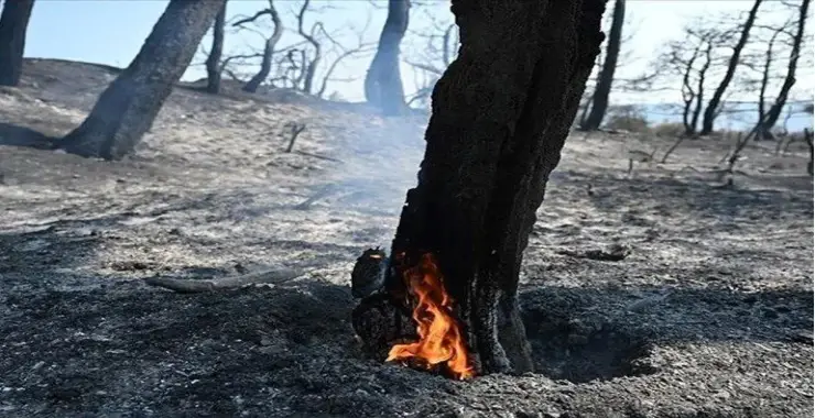 Bu yıl için av yasağı kararı