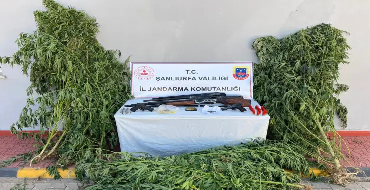 JANDARMA’DAN UYUŞTURUCU VE SİLAH OPERASYONU