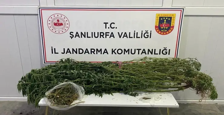 Jandamadan Uyuşturucu Operasyonu