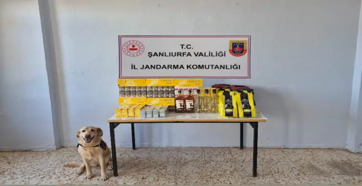Jandarmadan Kaçakçılara Geçit Yok