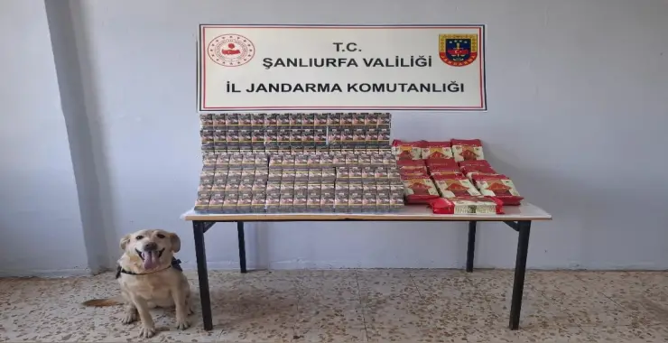 YOL UYGULAMASINDA KAÇAK SİGARA ELE GEÇİRİLDİ