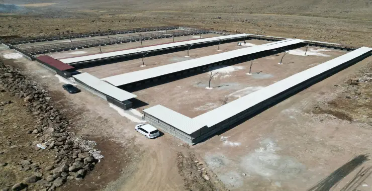 Siverek’te Sahipsiz Hayvanlar İçin Kurulan Doğal Yaşam Alanı Tamamlandı