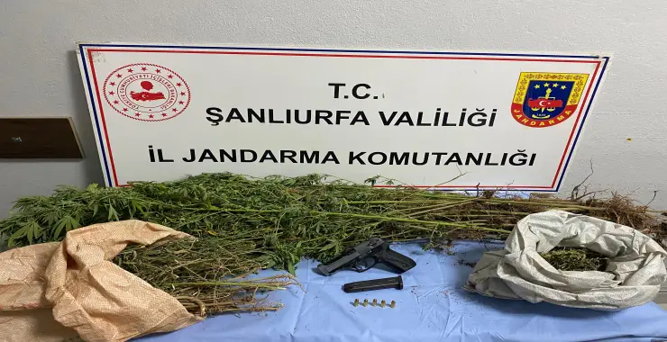 JANDARMA’DAN UYUŞTURUCU OPERASYONU