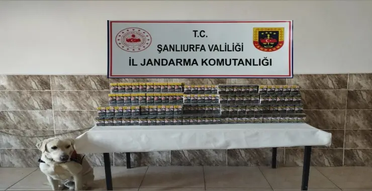 Jandarma’dan Kaçakçılıkla Mücadele