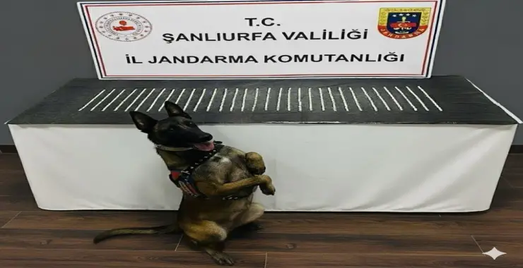 UYUŞTURUCU OPERASYONU: 3 GÖZALTI