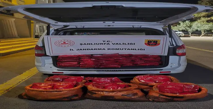 JANDARMA’DAN SİGARA KAÇAKÇILARINA DARBE