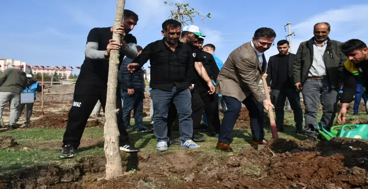 Siverek’te 11 Kasım Milli Ağaçlandırma Günü etkinliği