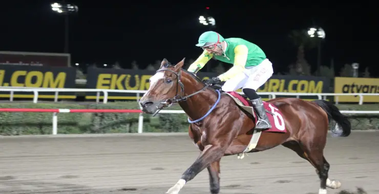 Hilvan Belediyesi Koşusu’nu Pekalp isimli at kazandı