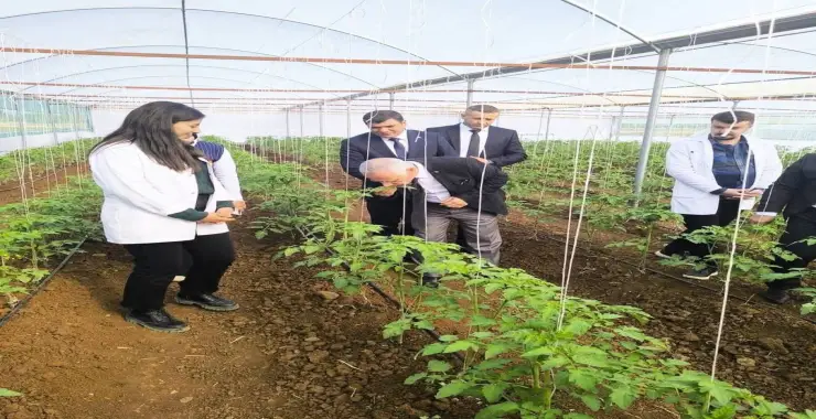 GAP Destekli Seracılık Projesi