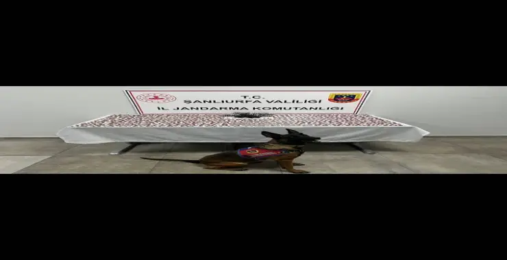 JANDARMA’DAN TORBACILARA OPERASYON