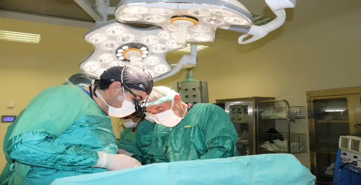 URFA’DA TIP BAŞARISI,15 KİLOLUK DEV TÜMÖR TEK OPERASYONLA ÇIKARILDI