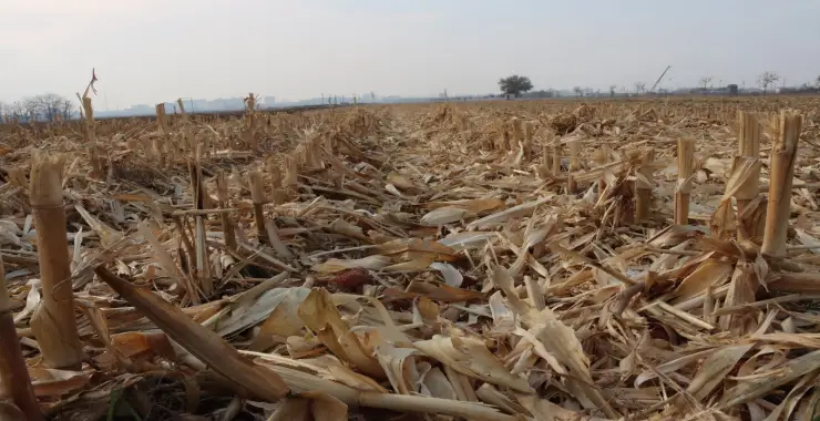 TARIMDA YENİLİKÇİ YÖNTEM