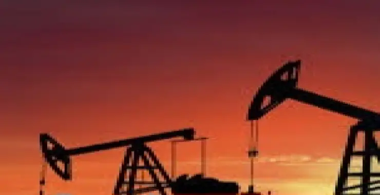 BOZOVA’DA PETROL ARAMASI İÇİN KAZI BAŞLADI