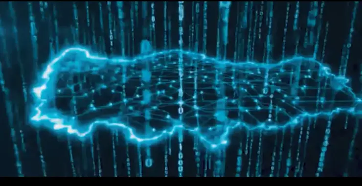 Siber suçlulara operasyon. 131 şüpheli tutuklandı