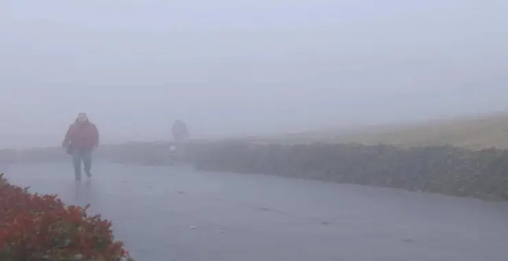 Kış Ortasında Yalancı Bahar Geliyor 