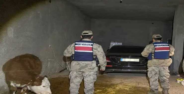 ŞANLIURFA’DA HIRSIZLIK OLAYI: 2 GÖZALTI