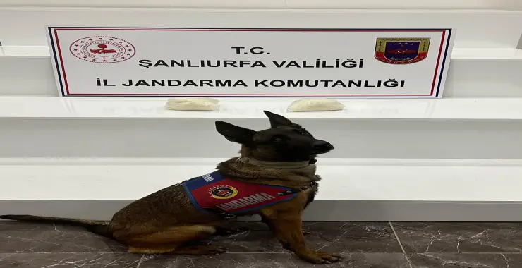 Viranşehir’de Narkotik Operasyonu: 2 Kilo Sentetik Uyuşturucu Ele Geçirildi