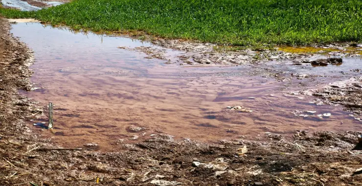 Şanlıurfa’da Elektriğin Yarısı Kaçak