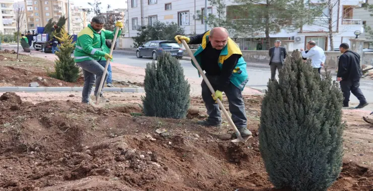 KARAKÖPRÜ’DE PARKLAR YAZ SEZONUNA HAZIRLANIYOR