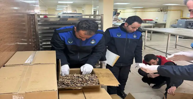 HALİLİYE’DE GIDA DENETİMİ: KÜFLÜ CEVİZLERE EL KONULDU