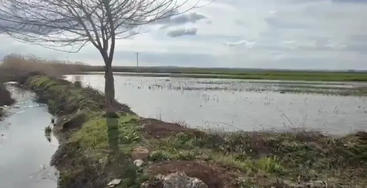 Suruç’ta Tarım Arazileri Tehlikede: Verimli Topraklar Bataklığa Dönüşüyor