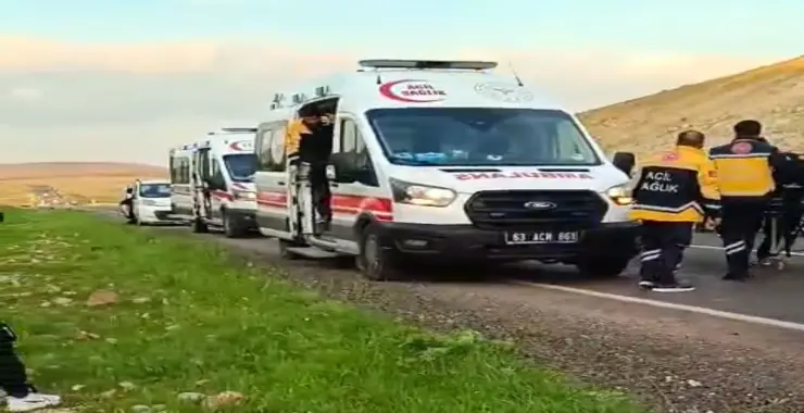 Ceylanpınar-Akçakale Karayolunda Kaza: 3 Yaralı