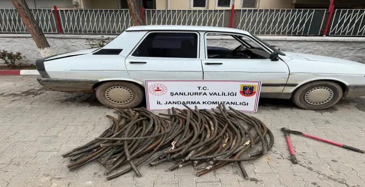 TİGEM Arazisinde Kablo Hırsızlığı: Şüpheli Suçüstü Yakalandı