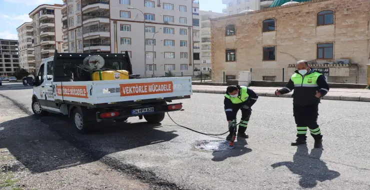 SİVRİSİNEK VE HAŞERELERE KARŞI YOĞUN MESAİ