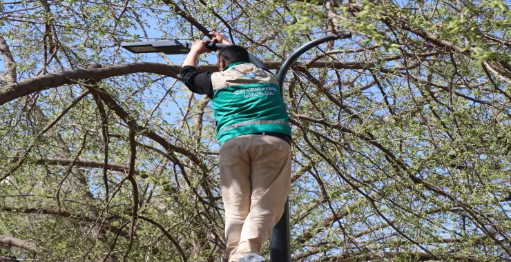 HALİLİYE’DE YAZ ÖNCESİ PARKLARDA HUMMALI ÇALIŞMA