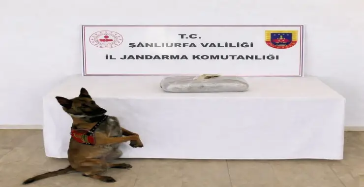 EMNİYET VE JANDARMA’DAN KAÇAK SİGARA VE UYUŞTURUCU DENETİMİ