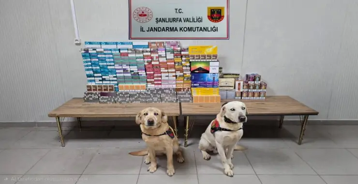 KAÇAKÇILIK OPERASYONU: 27 ŞAHIS HAKKINDA İŞLEM YAPILDI