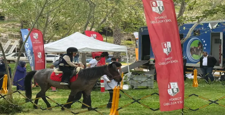 Şanlıurfa Kültür Yolu Festivali’nde At Sevgisi Yoğun Talep Gördü