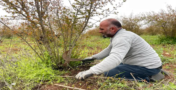SURUÇ NARINDA BAHAR BUDAMASI BAŞLADI