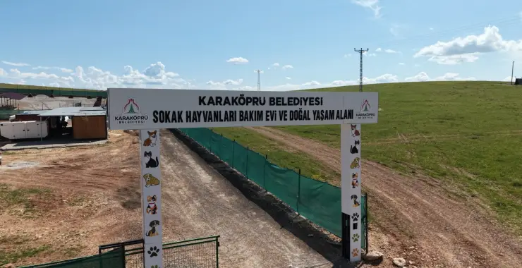 KARAKÖPRÜ’DE SOKAK HAYVANLARININ DOĞAL YAŞAM ALANI GÜÇLENDİRİLİYOR