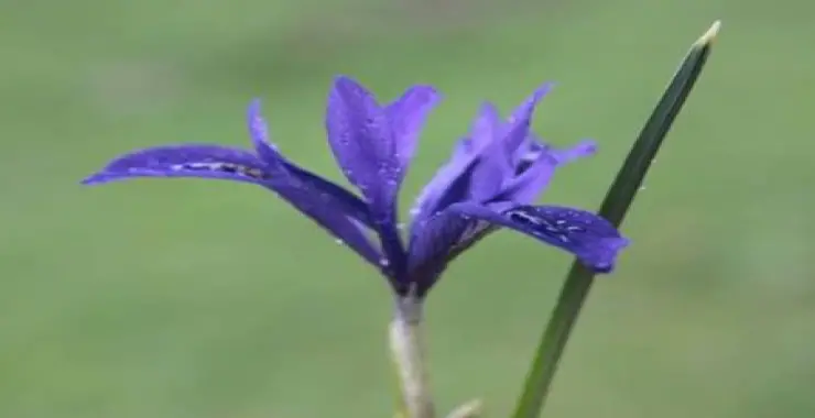 Anadolu’nun En’leri: Doğal Miras Olarak Öne Çıkıyor