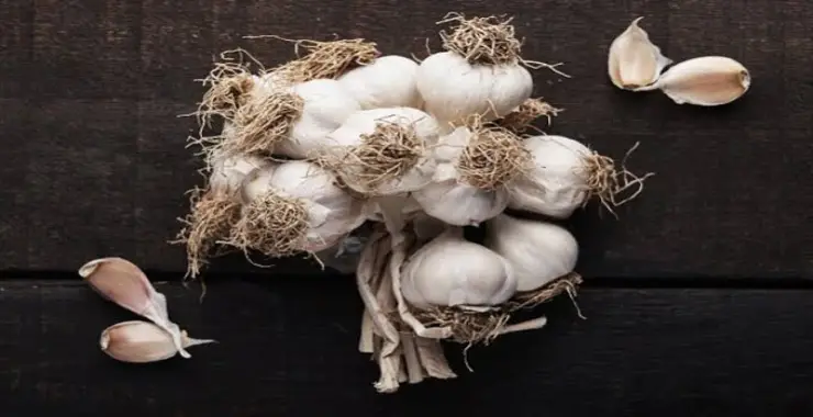 Sarımsakta Fiyat Farkı Gündeme Taşındı: Halden 60 TL, Market Rafında 300 TL