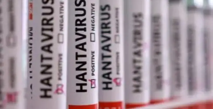 Türkiye’de hantavirüs vakası var mı? 