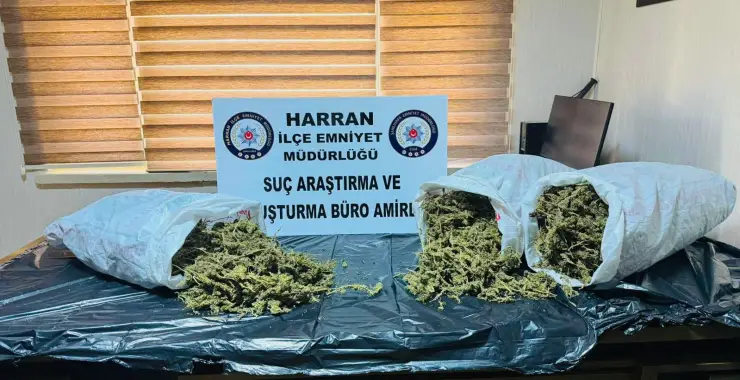 HARRAN’DA 8 KİLO 240 GRAM ESRAR ELE GEÇİRİLDİ: 1 TUTUKLAMA